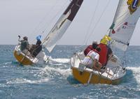 2.	 Photo - Paul Borg & Kylie Forth lead to top Italian team at the 2006 Homerus Blind Match Racing Championships.